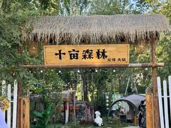 -十亩森林