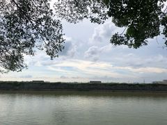 -大湾区中央湿地公园