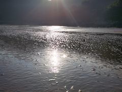 -小皓村