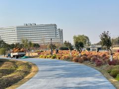 -春花秋色城市公园