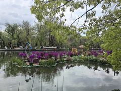 -翠湖公园