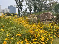 -宁波儿童公园(鄞州区)