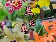 -中国科学院华南植物园