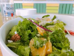 -Green Option(官舍店)