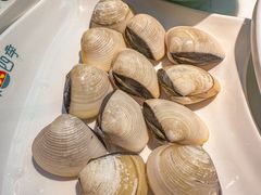 -原味四季椰子鸡(平湖天虹店)