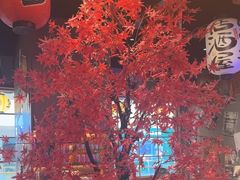 -白石的深夜食堂(济南万象城店)