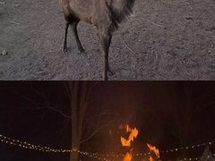 -安德鲁户外烧烤帐篷营地(马泉营店)