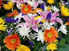 -三旗百汇商品城