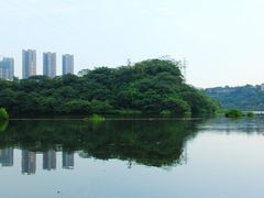 -重庆彩云湖湿地公园