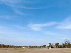 -春花秋色城市公园