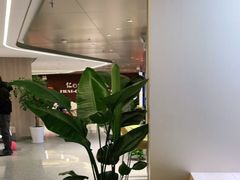 -上海交通大学医学院附属仁济医院(北院)