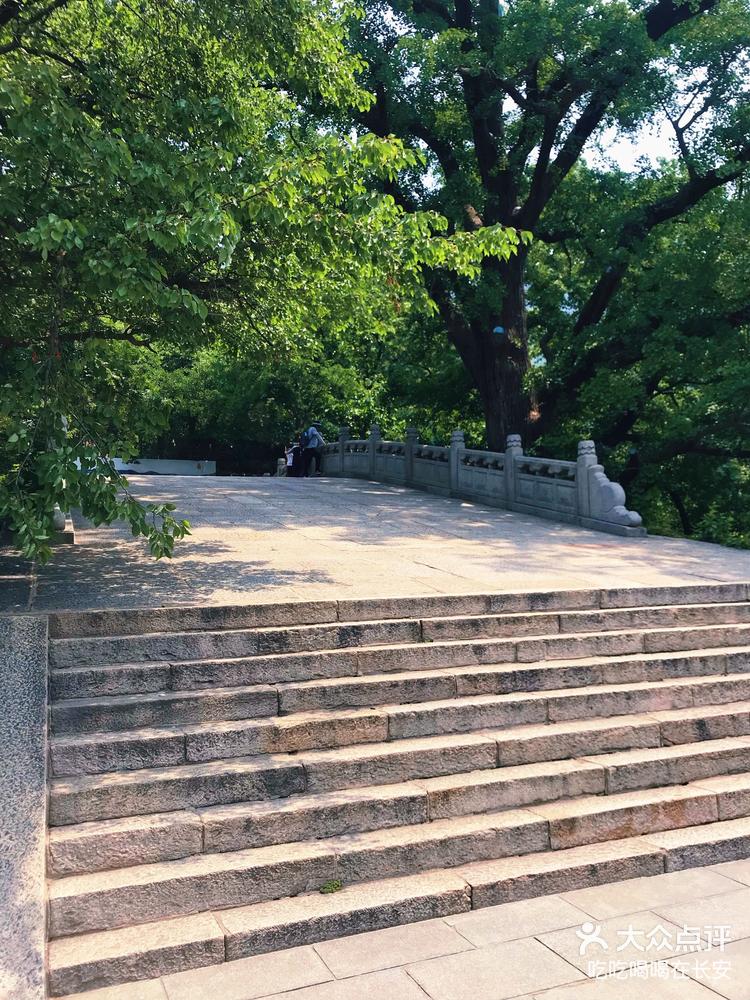 九龙桥花果山图片