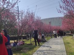 -长广溪湿地公园