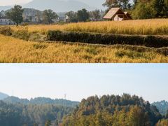 -塔川景区