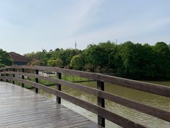 -上海海湾国家森林公园