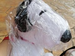 -史努比缤纷世界