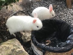 -伴山茶苑·围炉煮茶