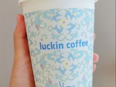 鲜萃轻轻茉莉-瑞幸咖啡(宝树台店)