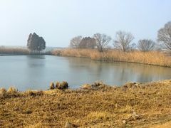 -苏州太湖国家湿地公园