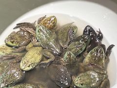 -东北大院·东北菜(三台子店)