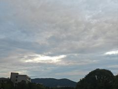-长广溪湿地公园