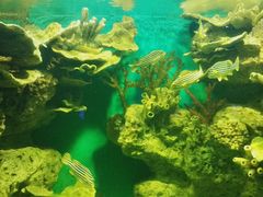 -福州罗源湾海洋世界旅游区