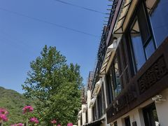 -Local泰莲庭(虹鳟鱼店)