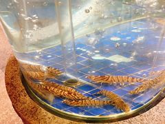 -新荣记(西溪湿地店)