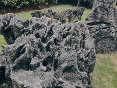-柳侯公园