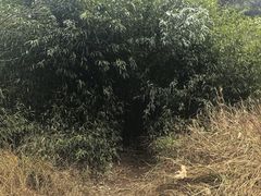 -会稽山峡洞漂流-上青古道