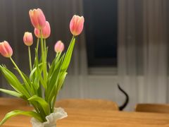 -循礼门鲜花花市(武汉循礼门店)