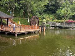 -重庆彩云湖湿地公园