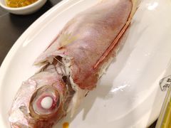 -吴记富苑(朝阳店)