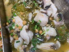 -舒来喜鱼锅(伊河路店)