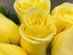 -循礼门鲜花花市(武汉循礼门店)