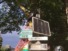 -札幌电视塔