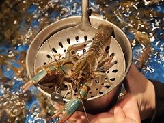 -亚马逊蒸汽活海鲜自助(LCM置汇旭辉广场店)