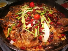 老板恋上鱼-老板恋上鱼(荣盛广场店)