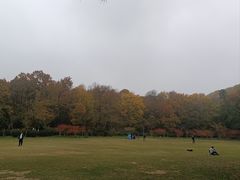 -WeLope紫金山探险公园