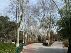 -西安市长乐公园