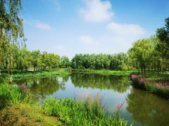 -东郊湿地公园