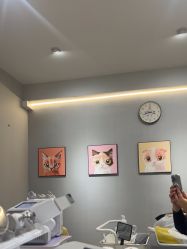 -洗脸猫·洗脸吧