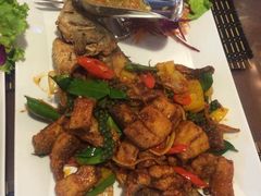 -Daddy Nimman Chiang Mai