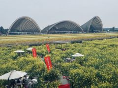 -中国天府农业博览园