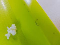 -东北师大净月校区食堂