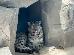 -青藏高原野生动物园
