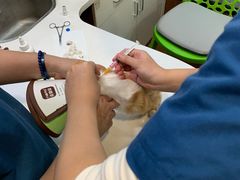 -瑞派动物医院·绝育·犬猫全科·预防医学(光景江南中店)