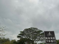 -深圳湾公园(南山区)