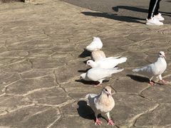 -燕塞湖鸟语林景区
