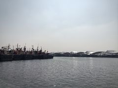 -吕四渔港